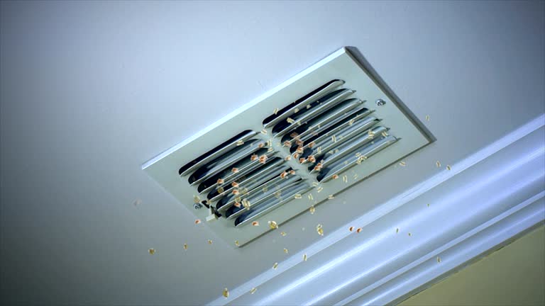 Best HVAC System Cleaning  in Spencer, IN